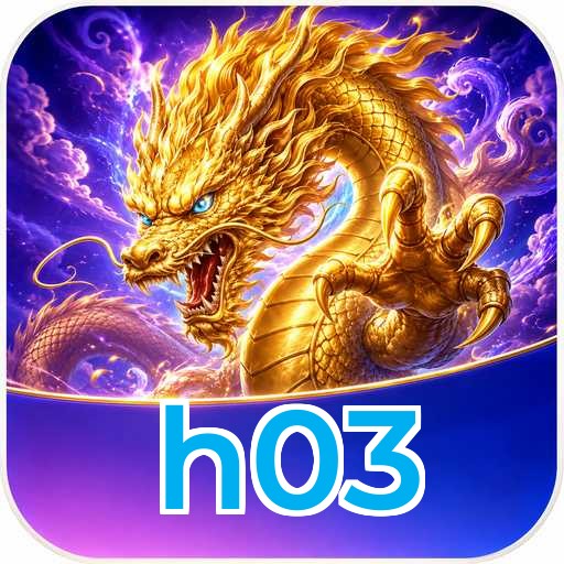 h03 Technical Info