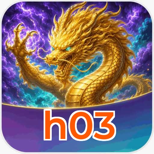 h03 Technical Info
