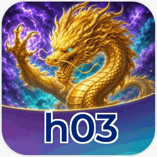 h03 Technical Info